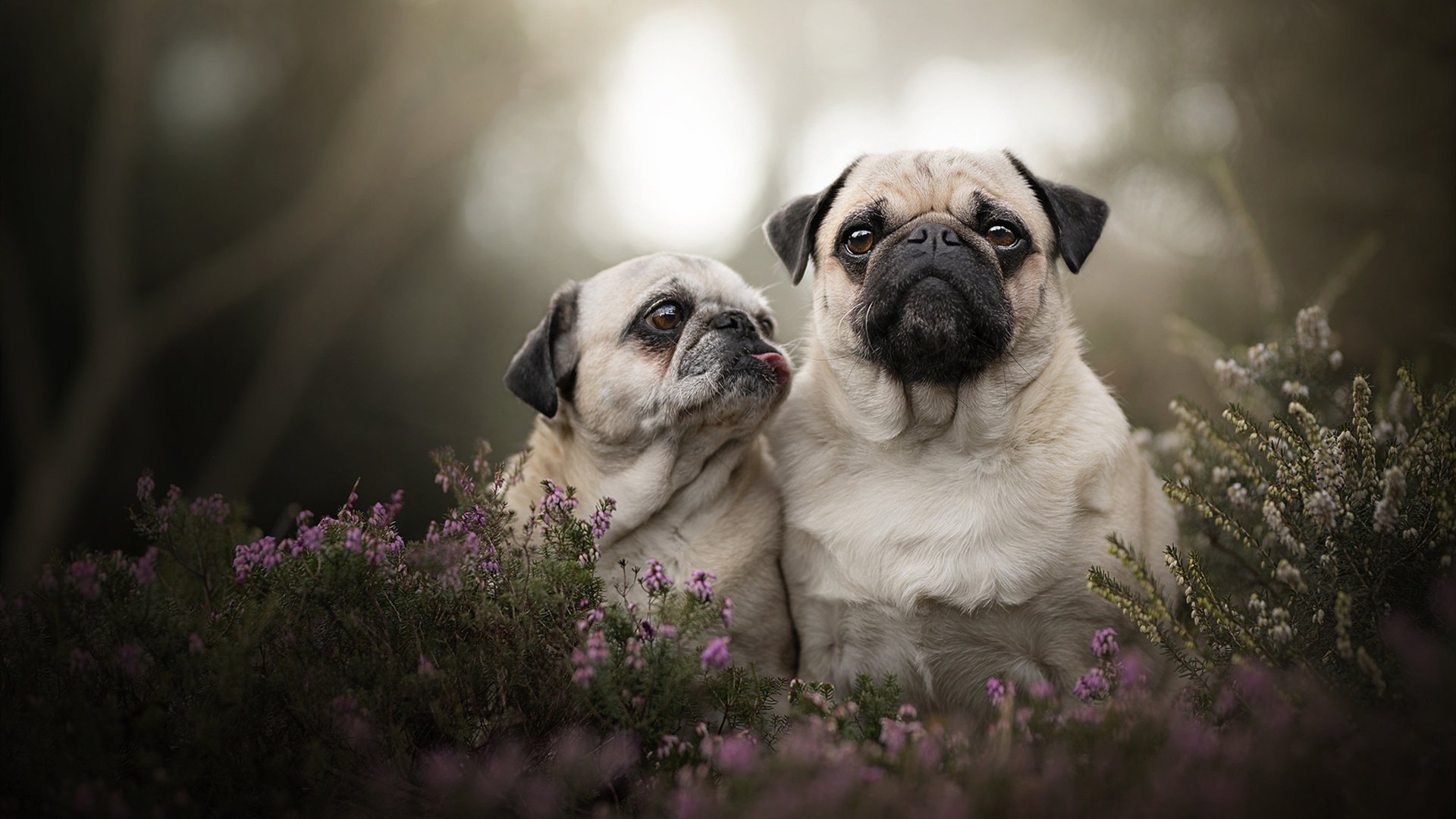 _新生代运动员名言:成长路上的励志故事_,运动员人生格言励志