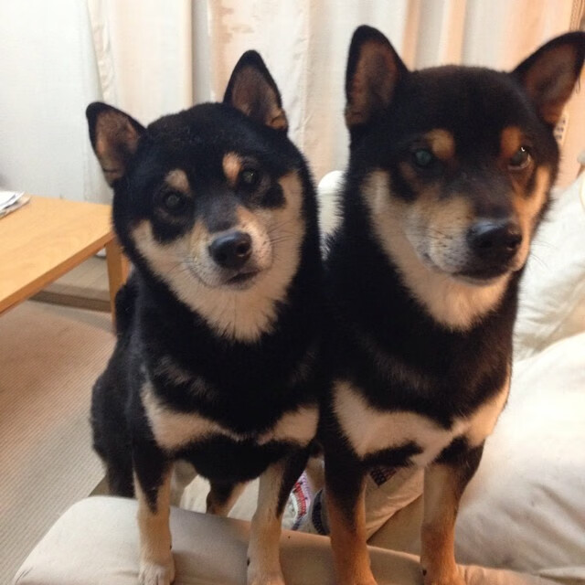 kaiyun网站-_新晋女单冠军诞生，打破传统霸主垄断_，女单选手排名