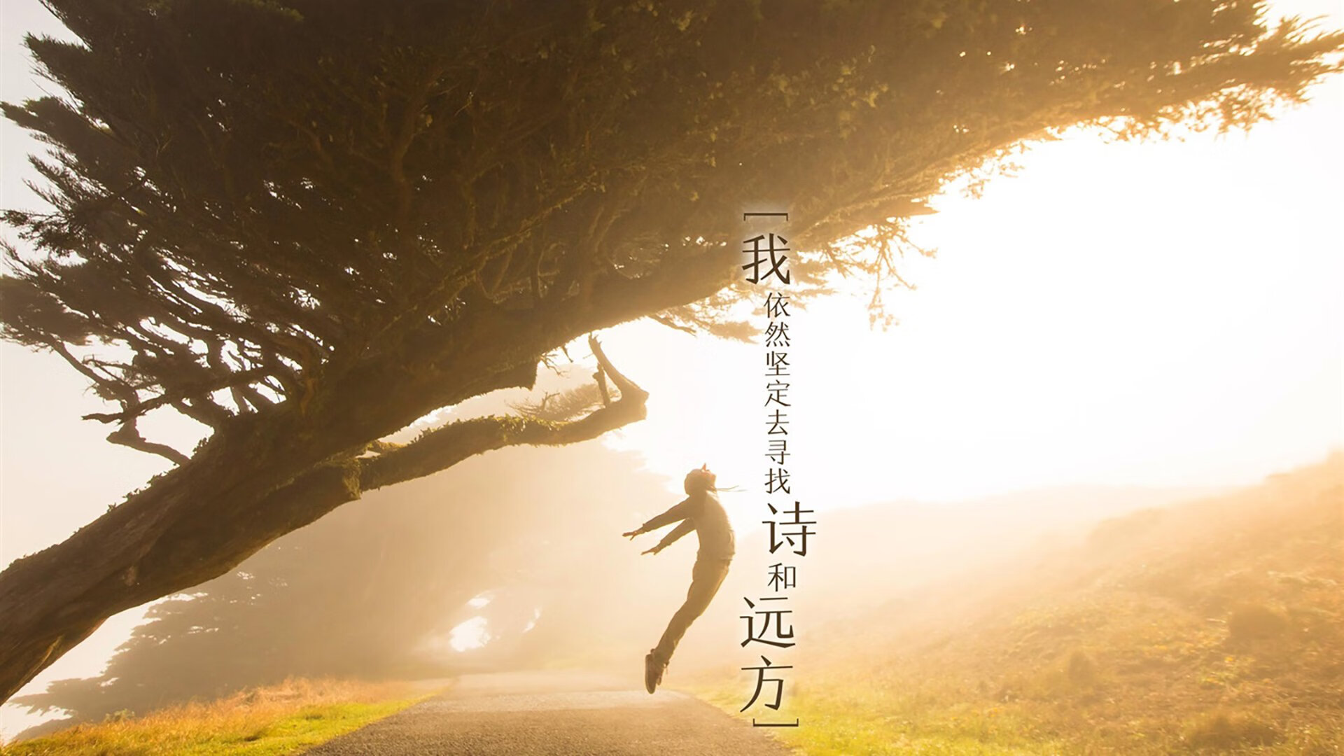 《《使命召唤》新作上线，加入真实物理模拟》，使命召唤实机演示