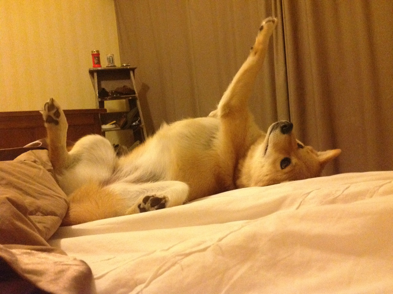 开云体育APP下载-【亚伦·诺拉的全能表现】投打皆精彩助球队获胜，诺拉 艾伦