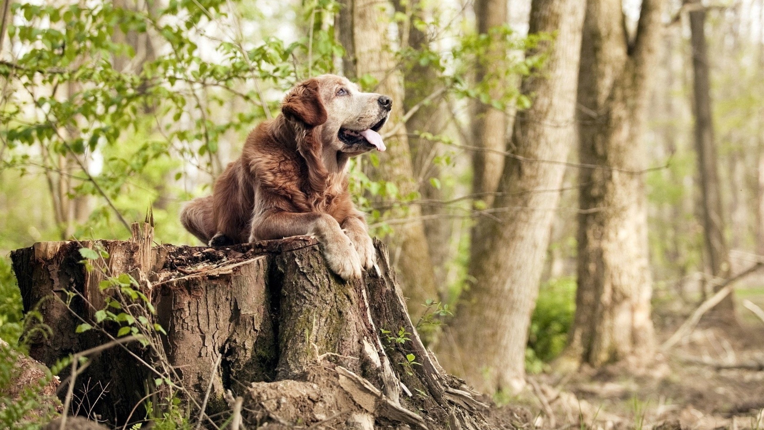 开云入口-【高科技助攻】传感器与图像技术如何实现“零误判”？，图像传感器实验