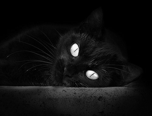 战术调整:切尔西用3-4-3阵型极大提高进攻效率,切尔西新赛季阵型