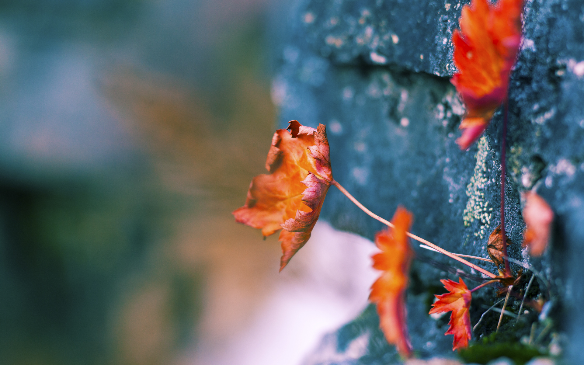 开云kaiyun-欧冠“最佳进球”年度候选盘点，2020欧冠年度最佳进球