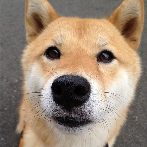 开云官方-球迷风采：粉丝的热情应援点燃赛场，球迷粉丝怎么称呼好听