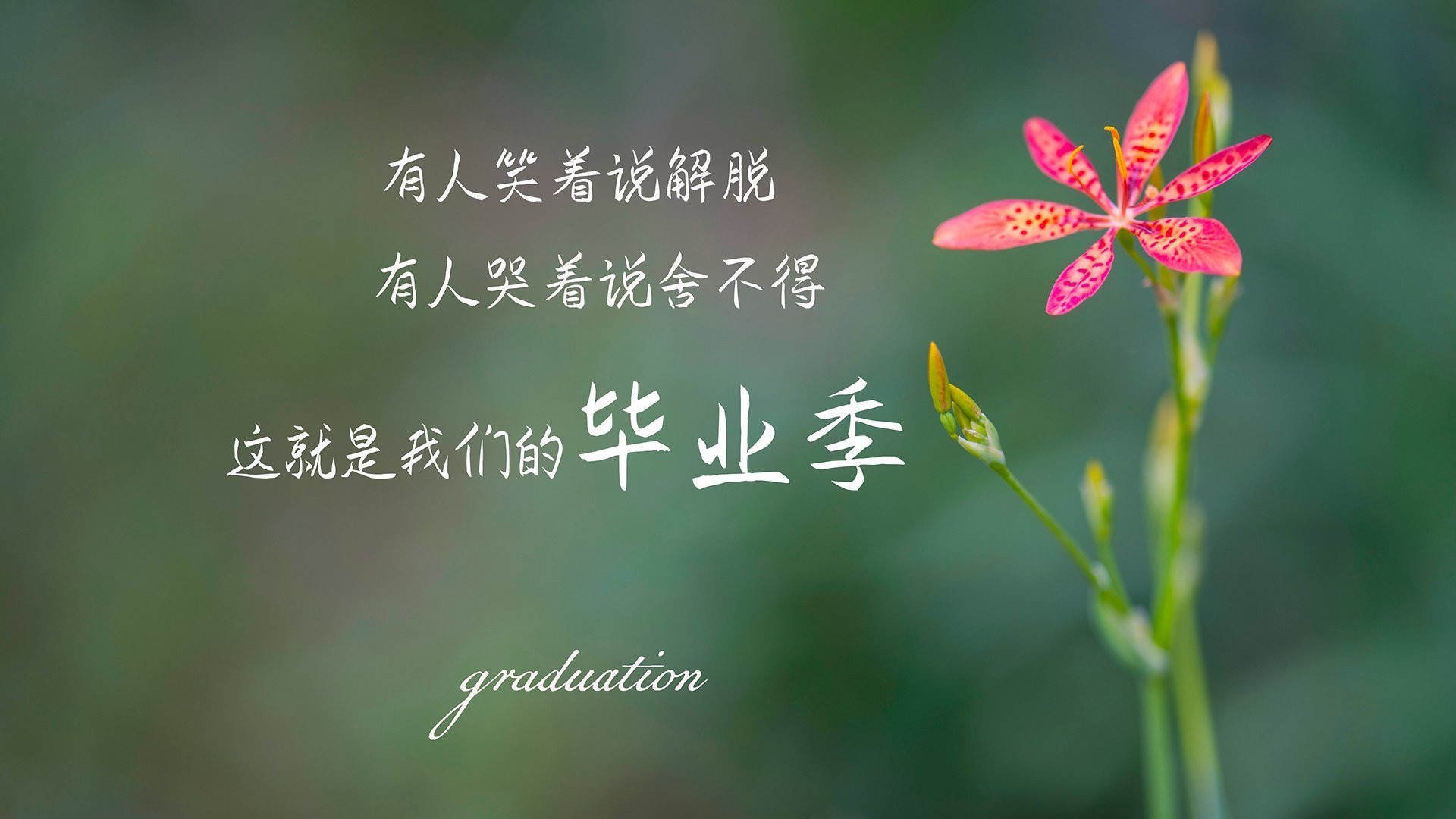 开云官方网站-绝杀“战神”来了：那些点燃全场的最后一击，绝战最后结局