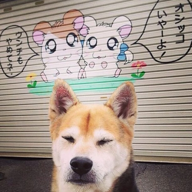 KPL赛区新人表现亮眼，kpl新赛季大名单