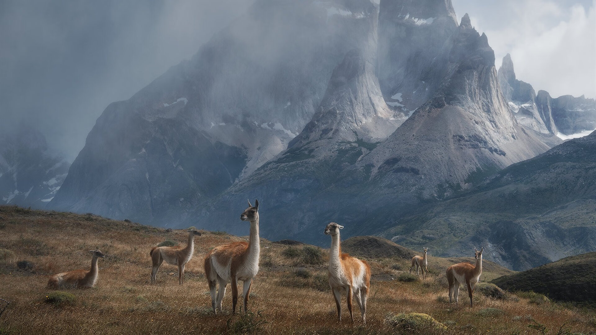 凯尔特人队战术执行更精准，凯尔特人全队