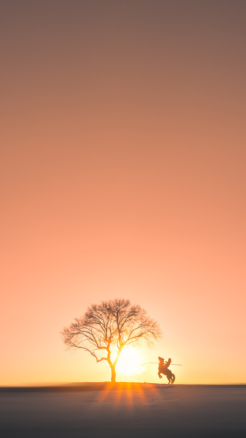 kaiyun体育app-女足青年队伍实力提升明显，女足青少年国家队