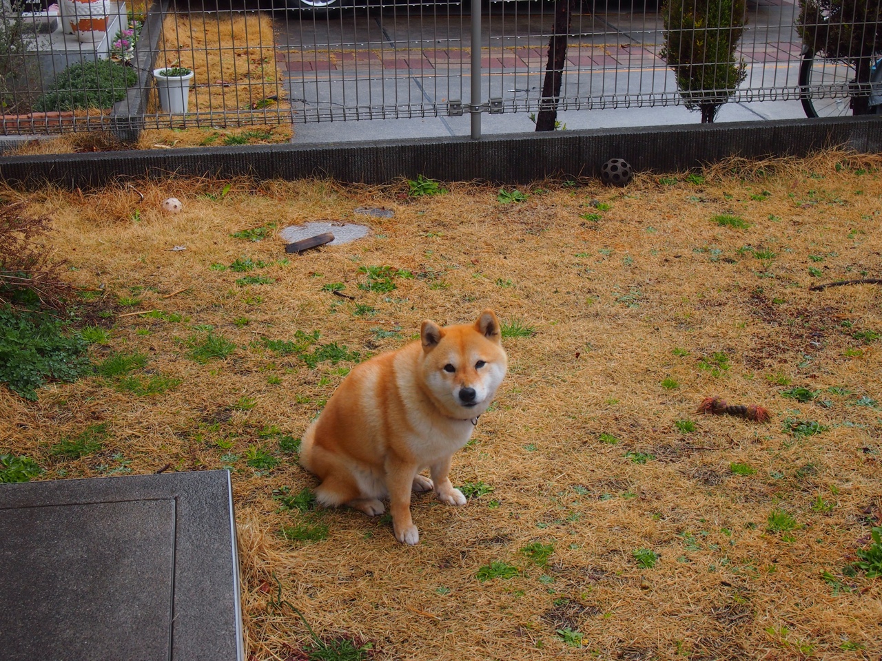 Kaiyun官方登录入口-拉齐奥在关键比赛中以一球之差取胜，拉齐奥球队在哪个城市