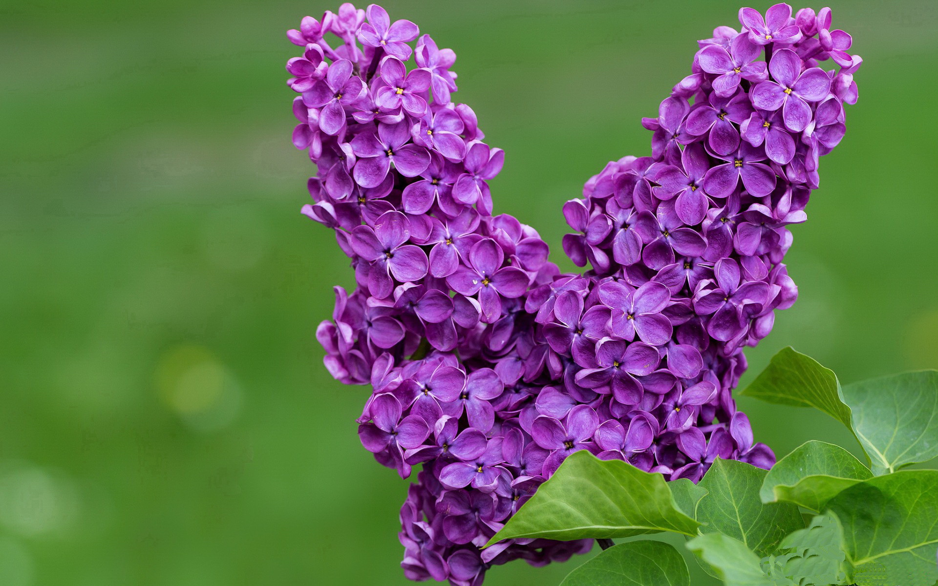 开云官方-球员能否代表联盟参与公共事务对话，球队球员仅可以使用( )的号码