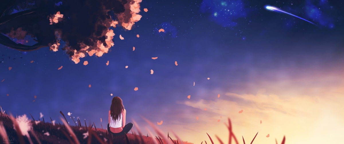 中国篮球青少年篮球训练质量评价体系研究,中国青少年篮球训练指导手册