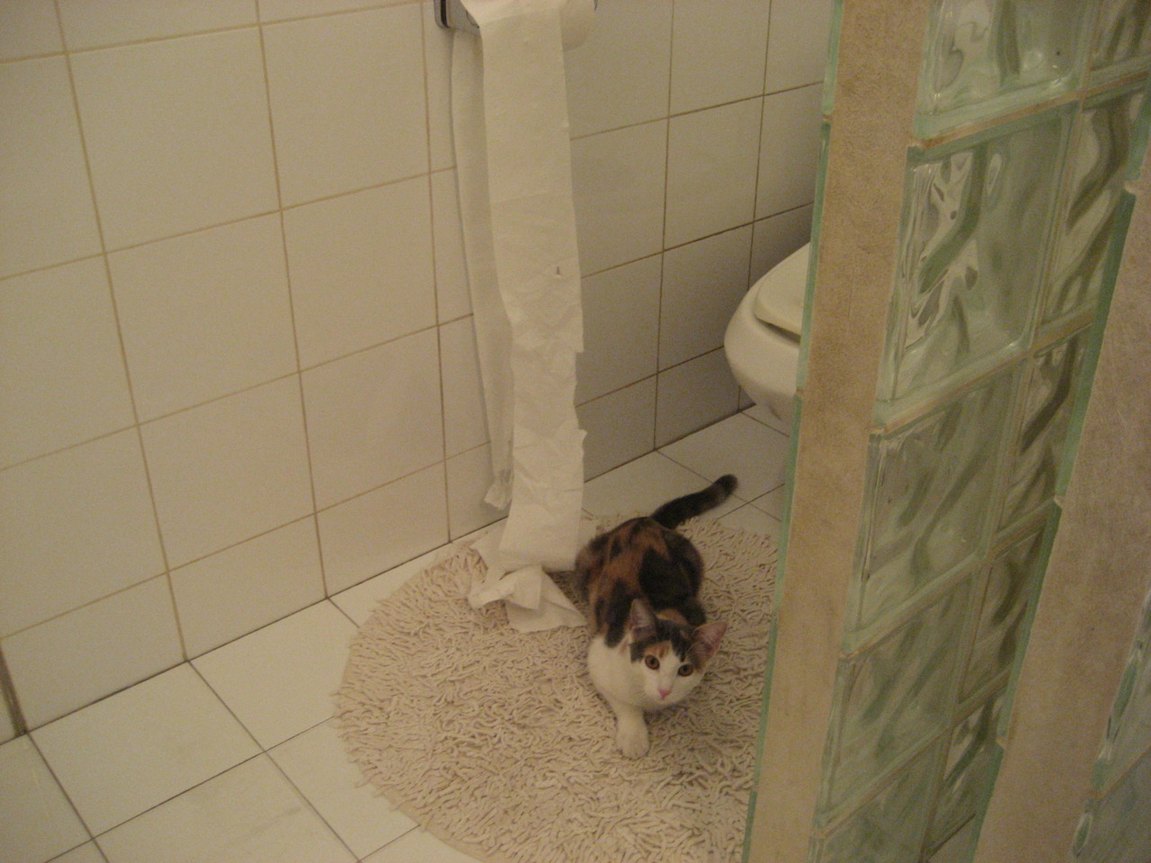 全国青少年轮滑速度赛在天津激情上演,青少年轮滑世界冠军