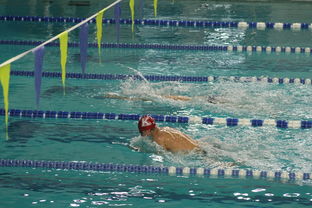 kaiyun.com-国际游泳精英赛中国队多人破纪录，国际游泳冠军系列赛