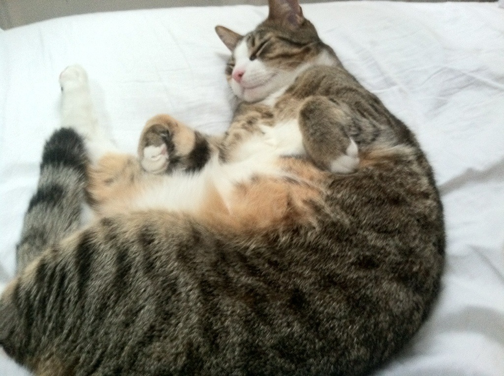 开云体育-技术细节改进带来成绩提升，改进技术搭配对吗