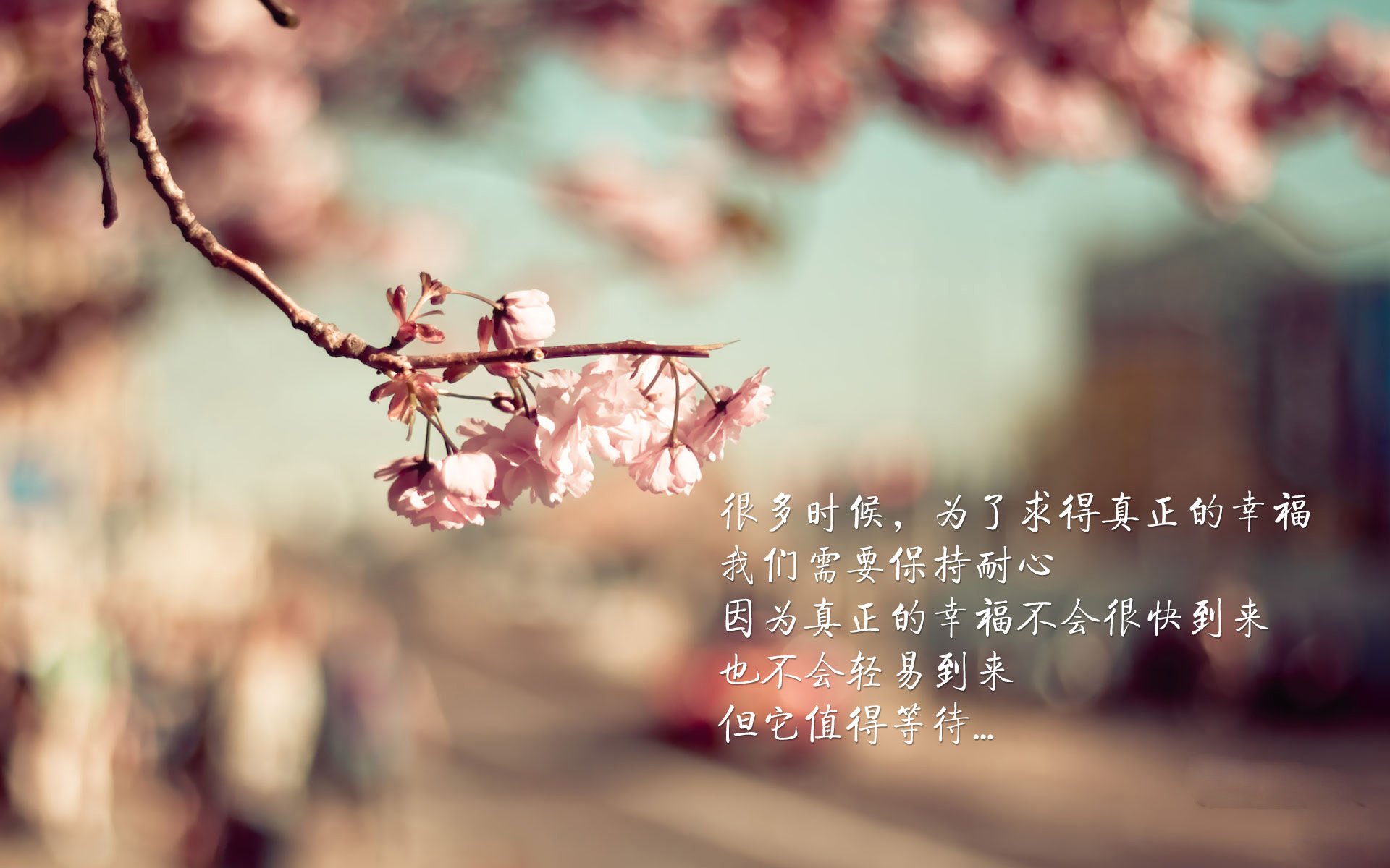 KAIYUNAPP-中超联赛重启媒体开放日推动联赛传播多样化，中超联赛何时开打