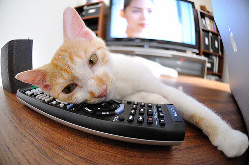 开云·Kaiyun网页版-利物浦在欧冠联赛中表现强劲，期待佳绩