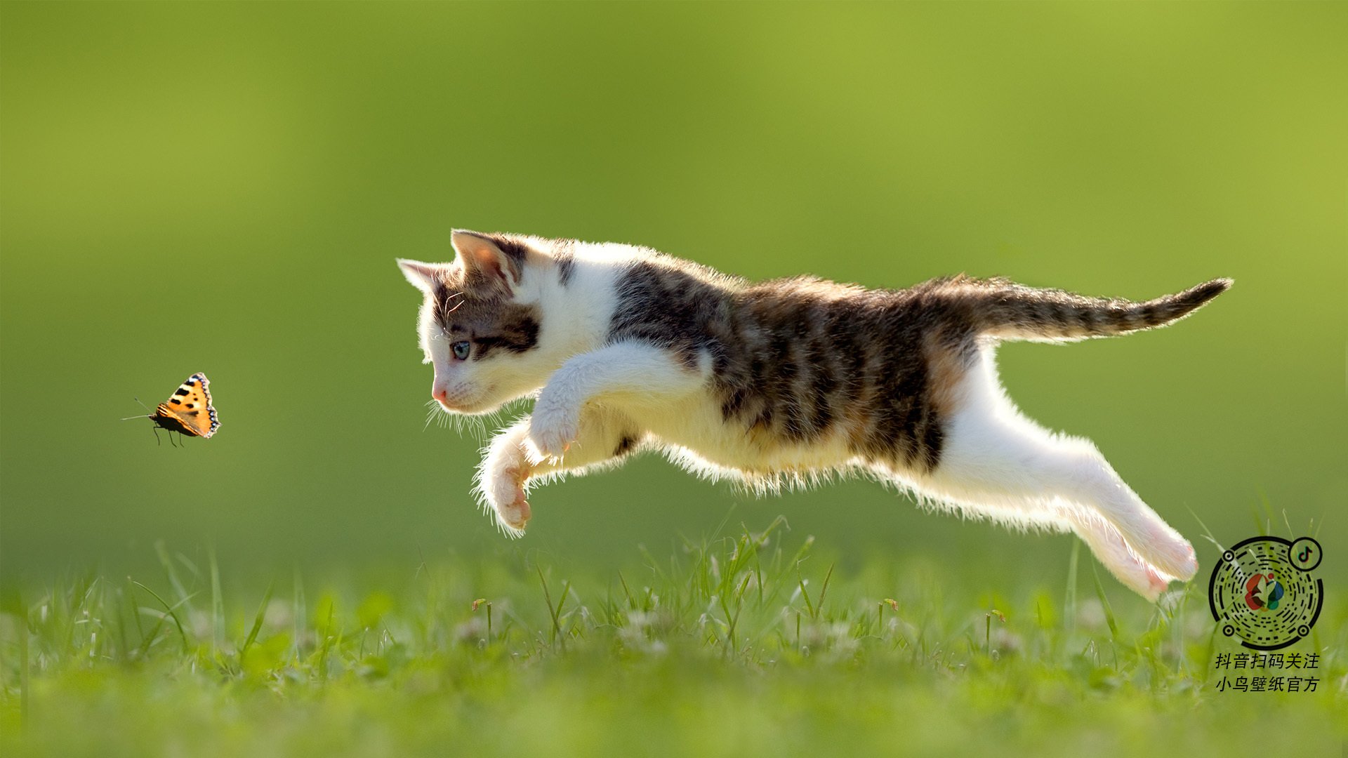 吉尔吉斯斯坦女篮在欧洲锦标赛中表现佳,期待未来亮相