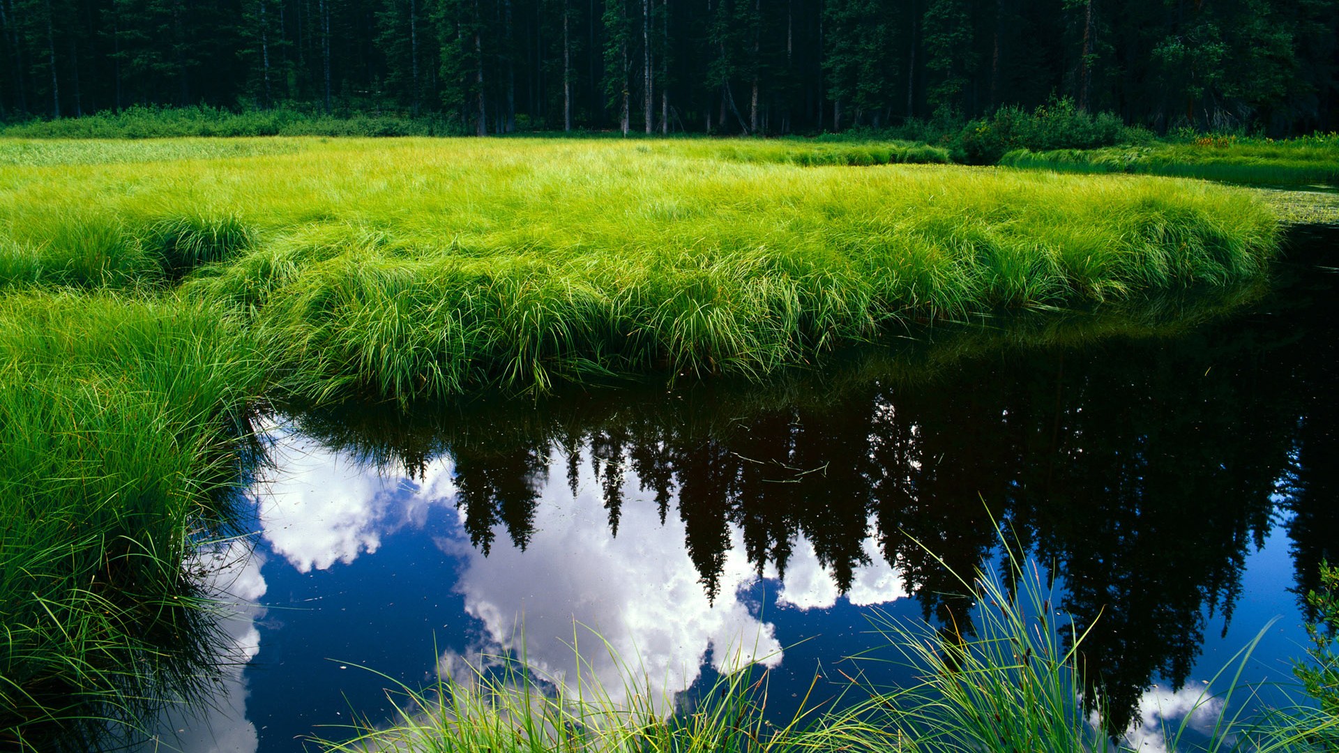 开云kaiyun-格鲁塞赛场表现获教练高度评价，格鲁塞中国简史