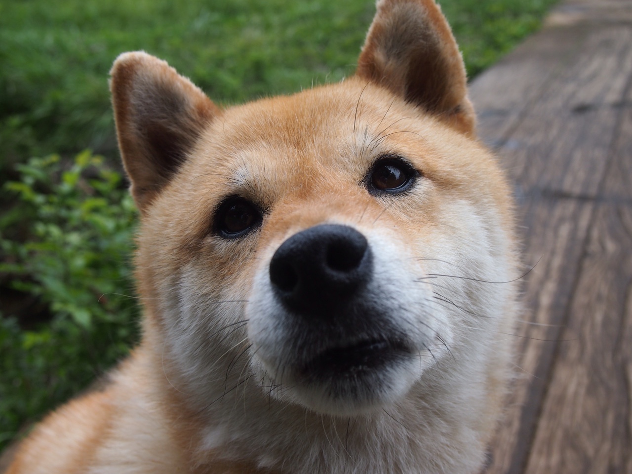 开云·体育官网APP下载-王楚钦训练期间注重调整节奏细节，王楚钦赛后采访